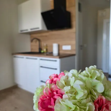 Renovated Great Location Apartma